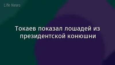 Токаев показал лошадей из президентской конюшни