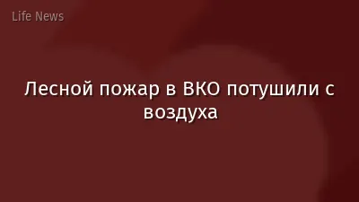 Лесной пожар в ВКО потушили с воздуха