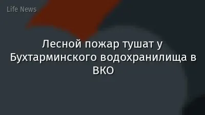Лесной пожар тушат у Бухтарминского водохранилища в ВКО