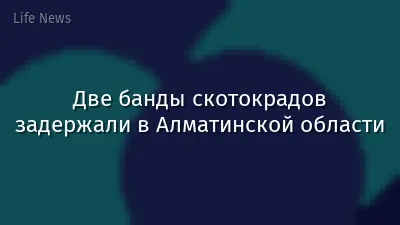 Две банды скотокрадов задержали в Алматинской области
