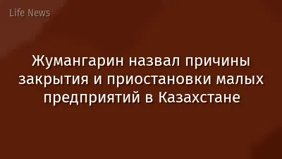 Жумангарин назвал причины закрытия и приостановки малых предприятий в Казахстане