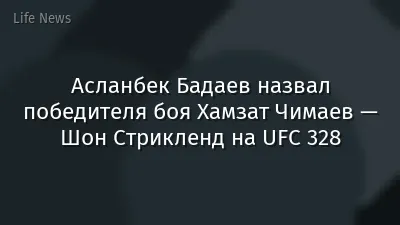 Асланбек Бадаев назвал победителя боя Хамзат Чимаев — Шон Стрикленд на UFC 328