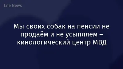 Мы своих собак на пенсии не продаём и не усыпляем – кинологический центр МВД