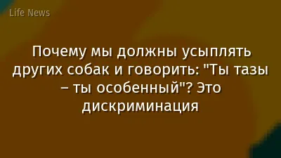 Почему мы должны усыплять других собак и говорить: "Ты тазы – ты особенный"? Это дискриминация