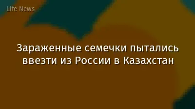 Зараженные семечки пытались ввезти из России в Казахстан