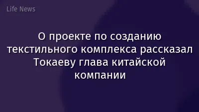 О проекте по созданию текстильного комплекса рассказал Токаеву глава китайской компании