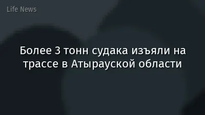 Более 3 тонн судака изъяли на трассе в Атырауской области