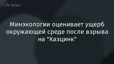 Минэкологии оценивает ущерб окружающей среде после взрыва на "Казцинк"