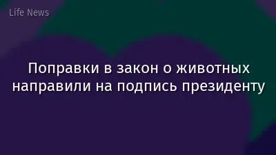 Поправки в закон о животных направили на подпись президенту