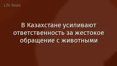 В Казахстане усиливают ответственность за жестокое обращение с животными