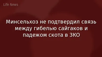 Минсельхоз не подтвердил связь между гибелью сайгаков и падежом скота в ЗКО