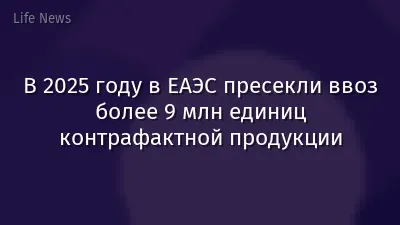 В 2025 году в ЕАЭС пресекли ввоз более 9 млн единиц контрафактной продукции