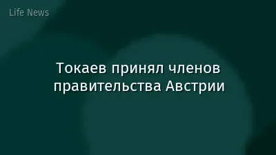 Токаев принял членов правительства Австрии