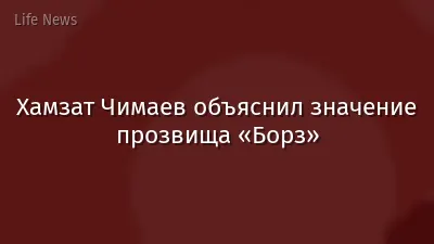 Хамзат Чимаев объяснил значение прозвища «Борз»