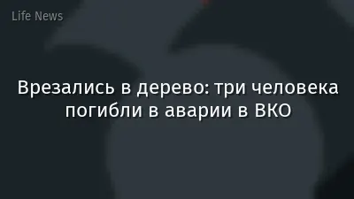 Врезались в дерево: три человека погибли в аварии в ВКО