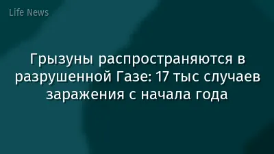 Грызуны распространяются в разрушенной Газе: 17 тыс случаев заражения с начала года