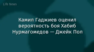 Камил Гаджиев оценил вероятность боя Хабиб Нурмагомедов — Джейк Пол