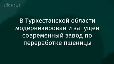 В Туркестанской области модернизирован и запущен современный завод по переработке пшеницы