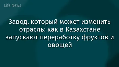 Завод, который может изменить отрасль: как в Казахстане запускают переработку фруктов и овощей