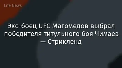 Экс-боец UFC Магомедов выбрал победителя титульного боя Чимаев — Стрикленд