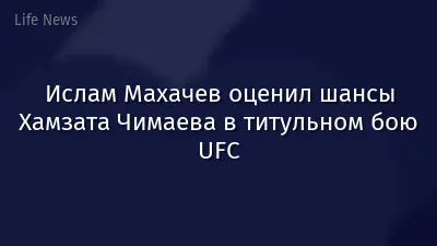 Ислам Махачев оценил шансы Хамзата Чимаева в титульном бою UFC