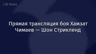 Прямая трансляция боя Хамзат Чимаев — Шон Стрикленд