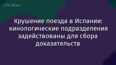 Крушение поезда в Испании: кинологические подразделения задействованы для сбора доказательств