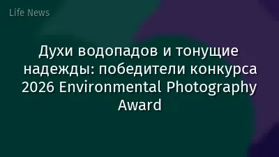 Духи водопадов и тонущие надежды: победители конкурса 2026 Environmental Photography Award