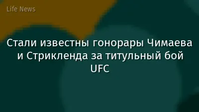 Стали известны гонорары Чимаева и Стрикленда за титульный бой UFC