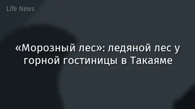 «Морозный лес»: ледяной лес у горной гостиницы в Такаяме