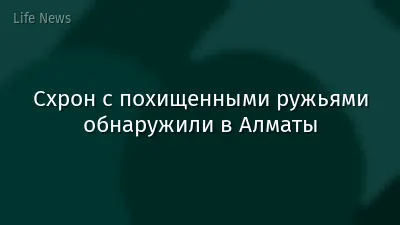 Схрон с похищенными ружьями обнаружили в Алматы