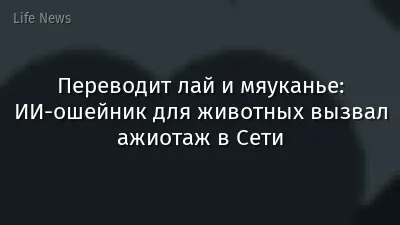 Переводит лай и мяуканье: ИИ-ошейник для животных вызвал ажиотаж в Сети