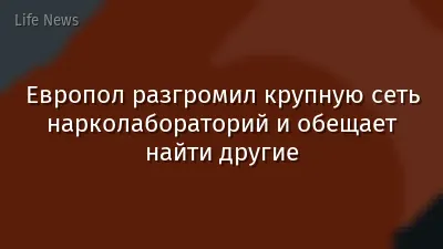Европол разгромил крупную сеть нарколабораторий и обещает найти другие