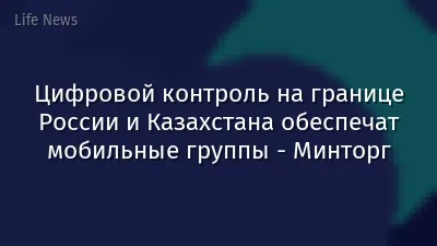 Цифровой контроль на границе России и Казахстана обеспечат мобильные группы - Минторг