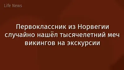 Первоклассник из Норвегии случайно нашёл тысячелетний меч викингов на экскурсии