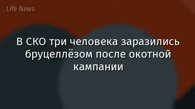 В СКО три человека заразились бруцеллёзом после окотной кампании