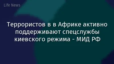 Террористов в в Африке активно поддерживают спецслужбы киевского режима - МИД РФ