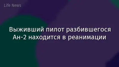 Выживший пилот разбившегося Ан-2 находится в реанимации
