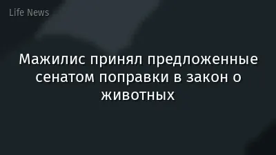 Мажилис принял предложенные сенатом поправки в закон о животных
