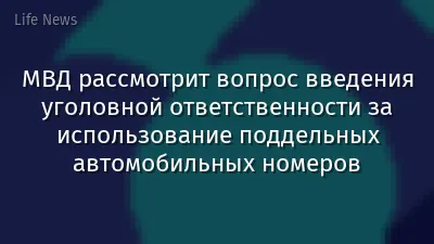 МВД рассмотрит вопрос введения уголовной ответственности за использование поддельных автомобильных номеров
