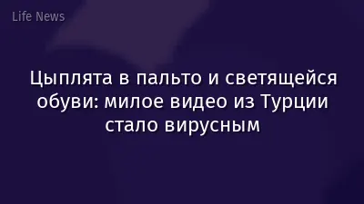 Цыплята в пальто и светящейся обуви: милое видео из Турции стало вирусным