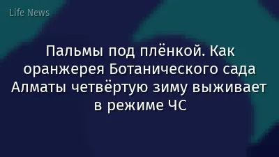 Пальмы под плёнкой. Как оранжерея Ботанического сада Алматы четвёртую зиму выживает в режиме ЧС