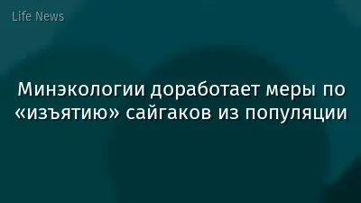 Минэкологии доработает меры по «изъятию» сайгаков из популяции