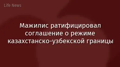 Мажилис ратифицировал соглашение о режиме казахстанско-узбекской границы