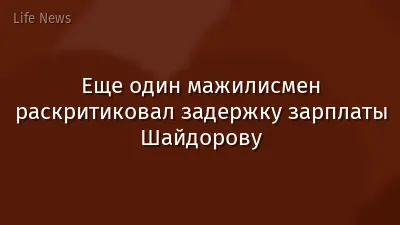 Еще один мажилисмен раскритиковал задержку зарплаты Шайдорову