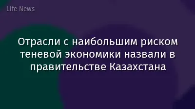Отрасли с наибольшим риском теневой экономики назвали в правительстве Казахстана