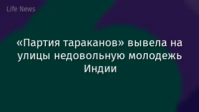 «Партия тараканов» вывела на улицы недовольную молодежь Индии