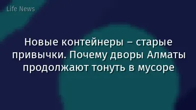 Новые контейнеры – старые привычки. Почему дворы Алматы продолжают тонуть в мусоре