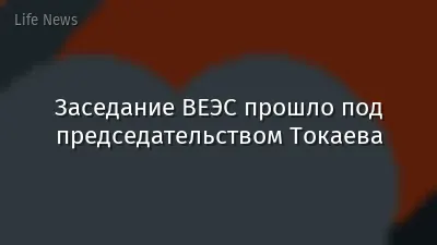 Заседание ВЕЭС прошло под председательством Токаева