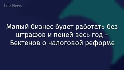 Малый бизнес будет работать без штрафов и пеней весь год – Бектенов о налоговой реформе